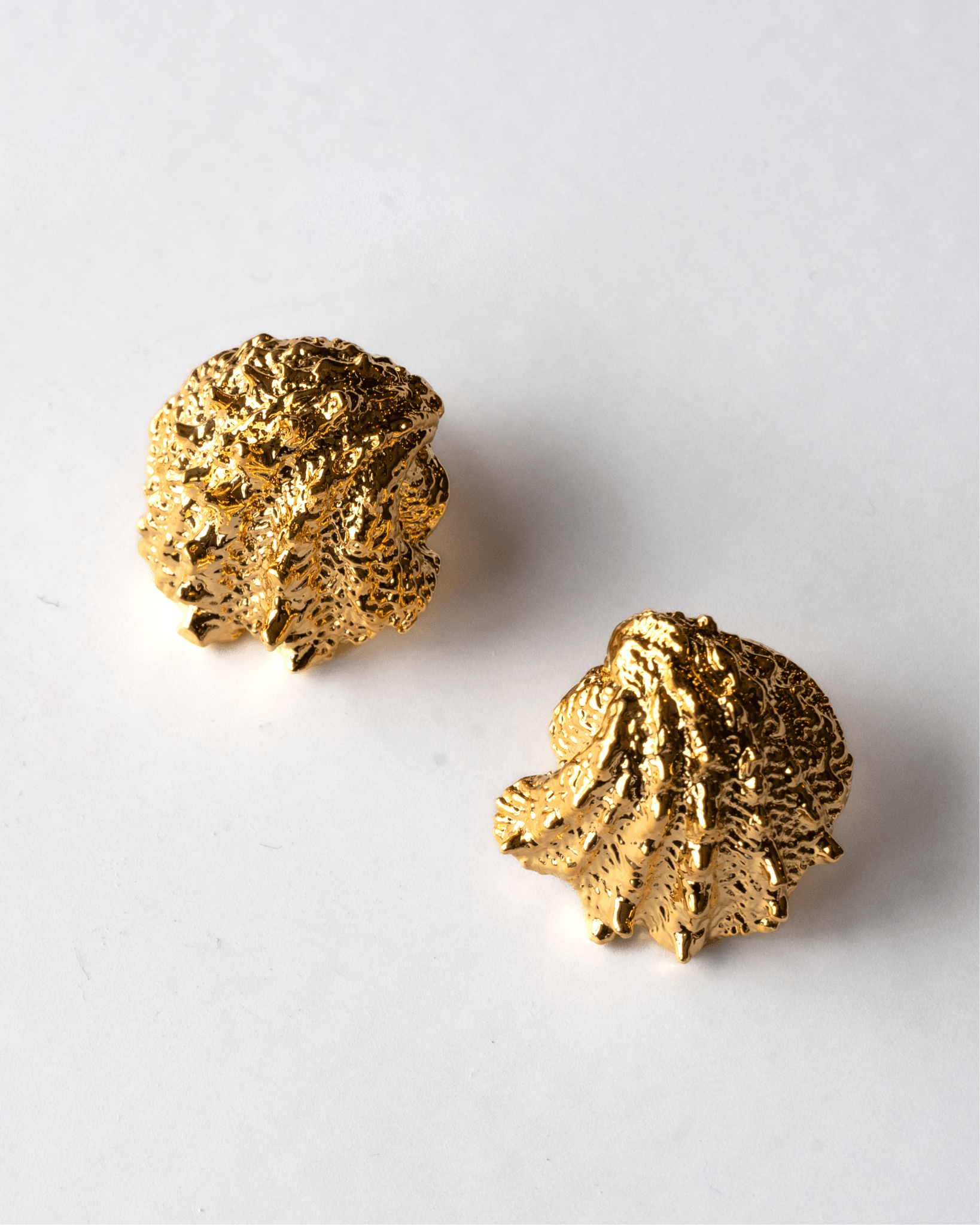 Small Shell Earring - Christina Caruso