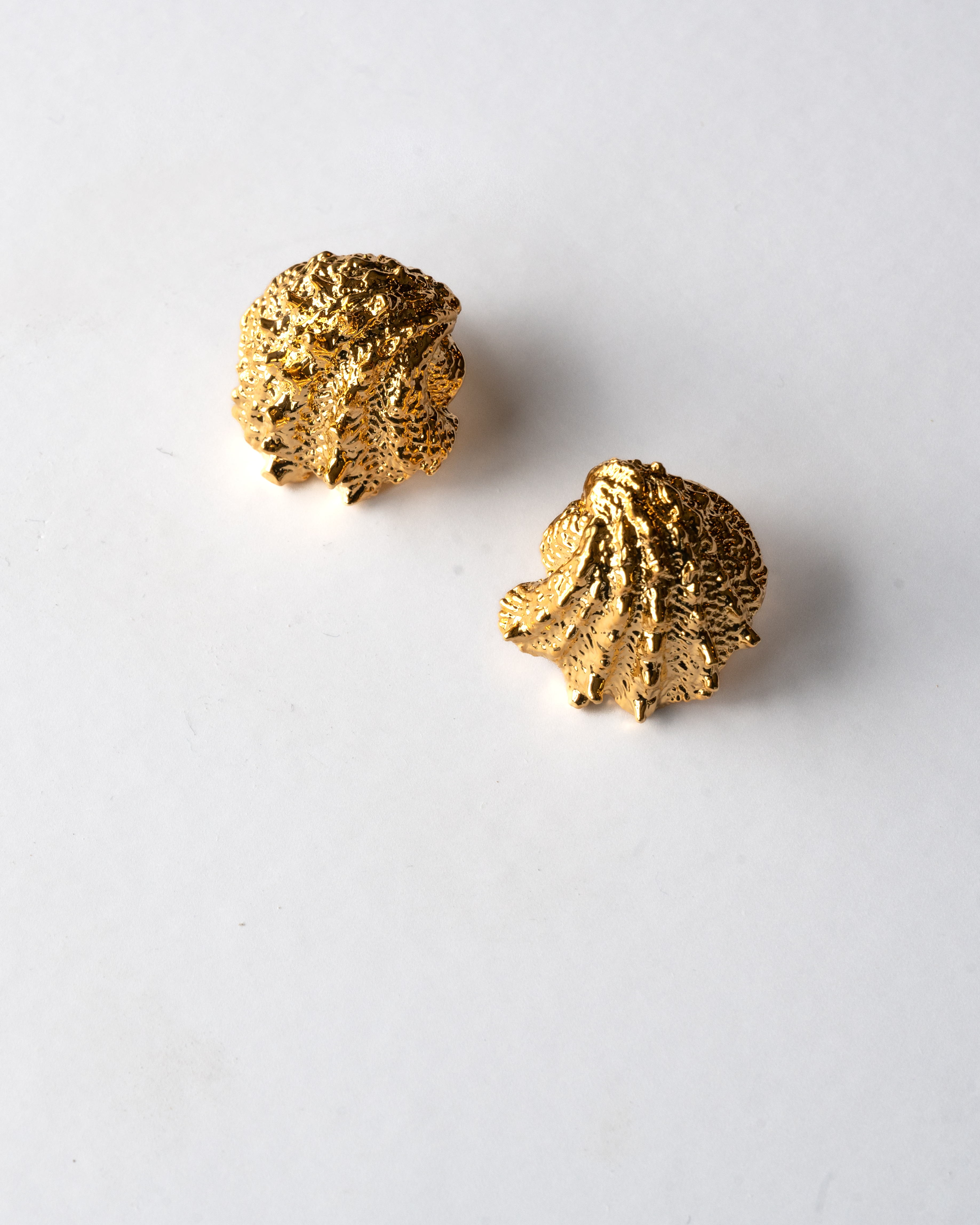 Small Shell Earring in gold